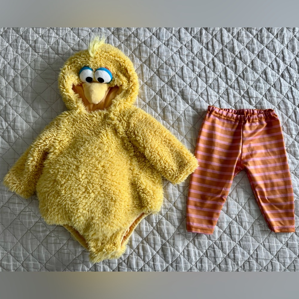 Pottery Barn Kids Big Bird Costume (6-12 months)